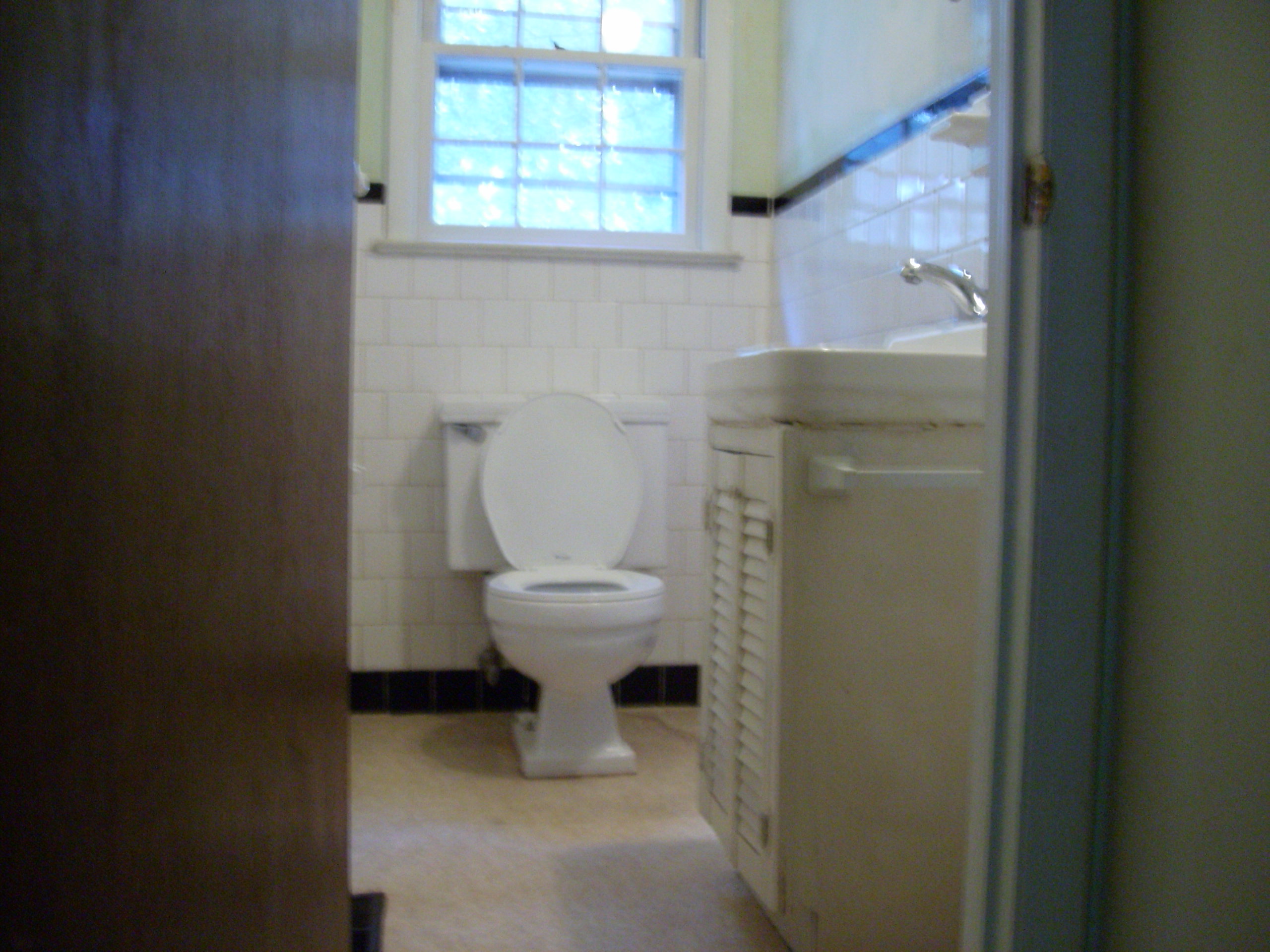 beforebath3.jpg